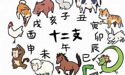 新猜什么生肖-新打一生肖是什么动物类型呢